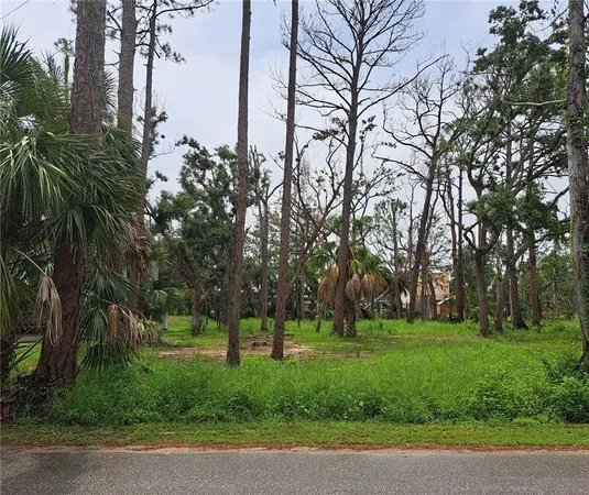 a huge green field with lots of trees