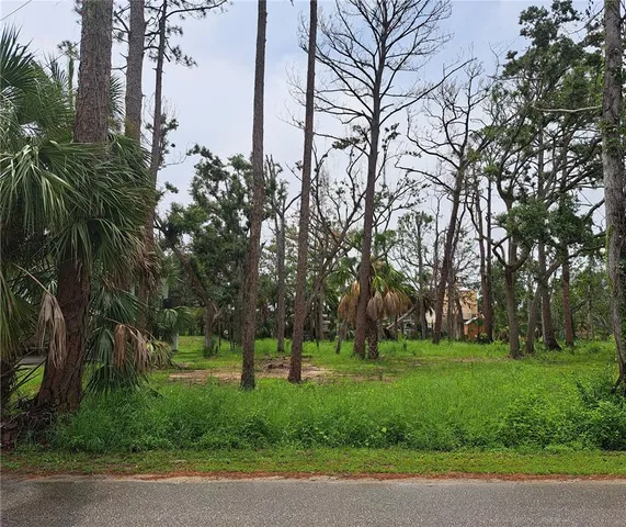 a huge green field with lots of trees