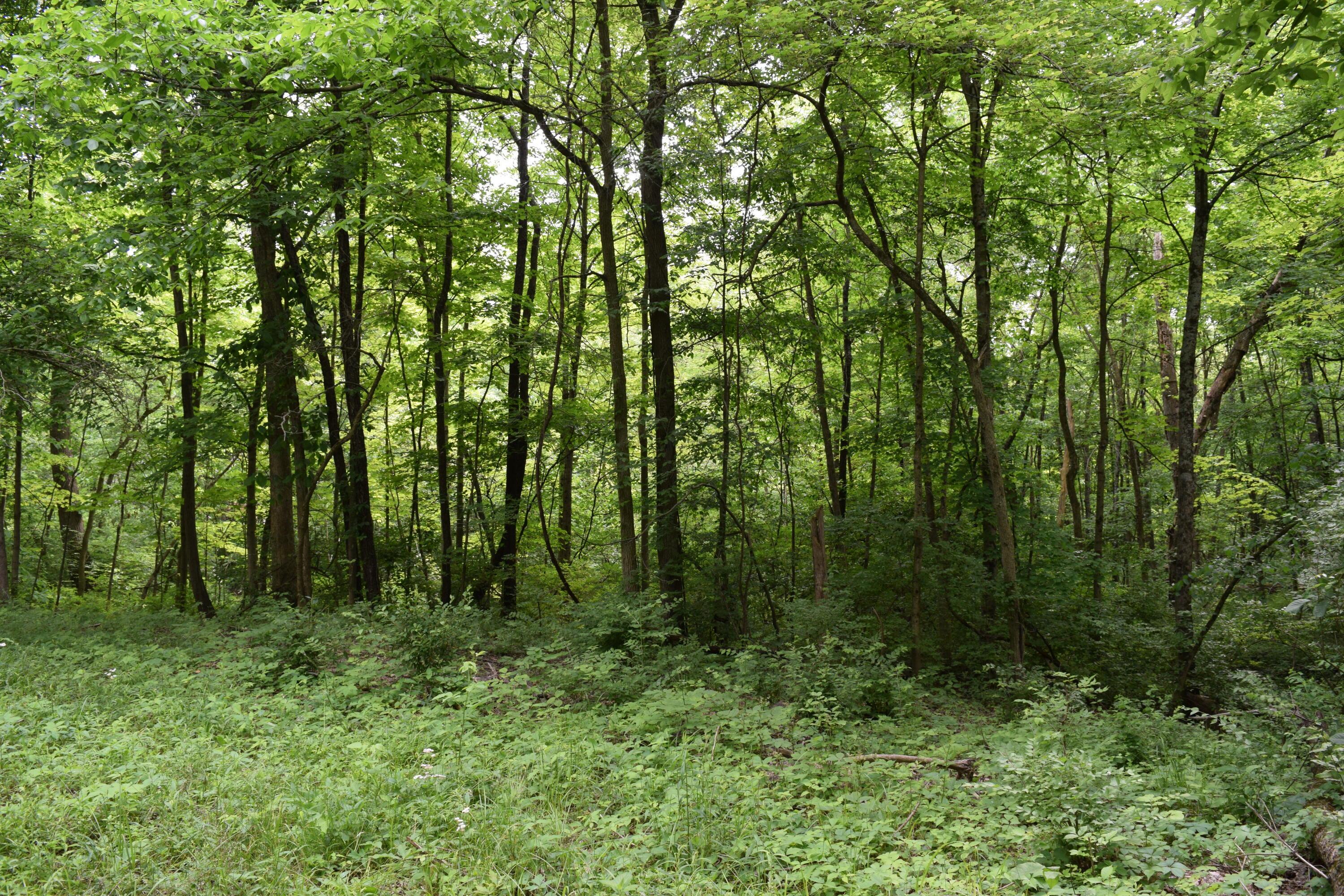 8400 Concord Road Delaware, OH 43015 - Photo 3 of 12 DSC_0286