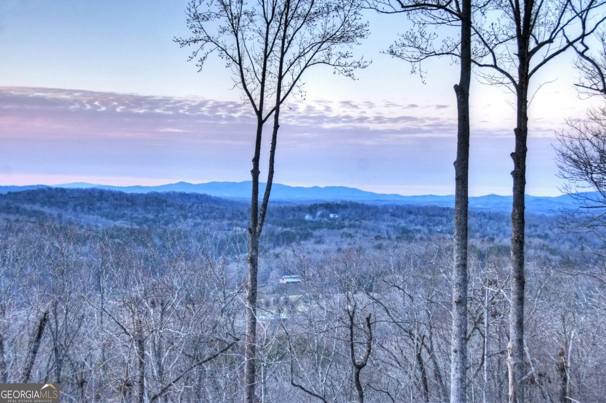 415 Green Ridge Trail Blue Ridge, GA 30513 - Photo 13 of 94