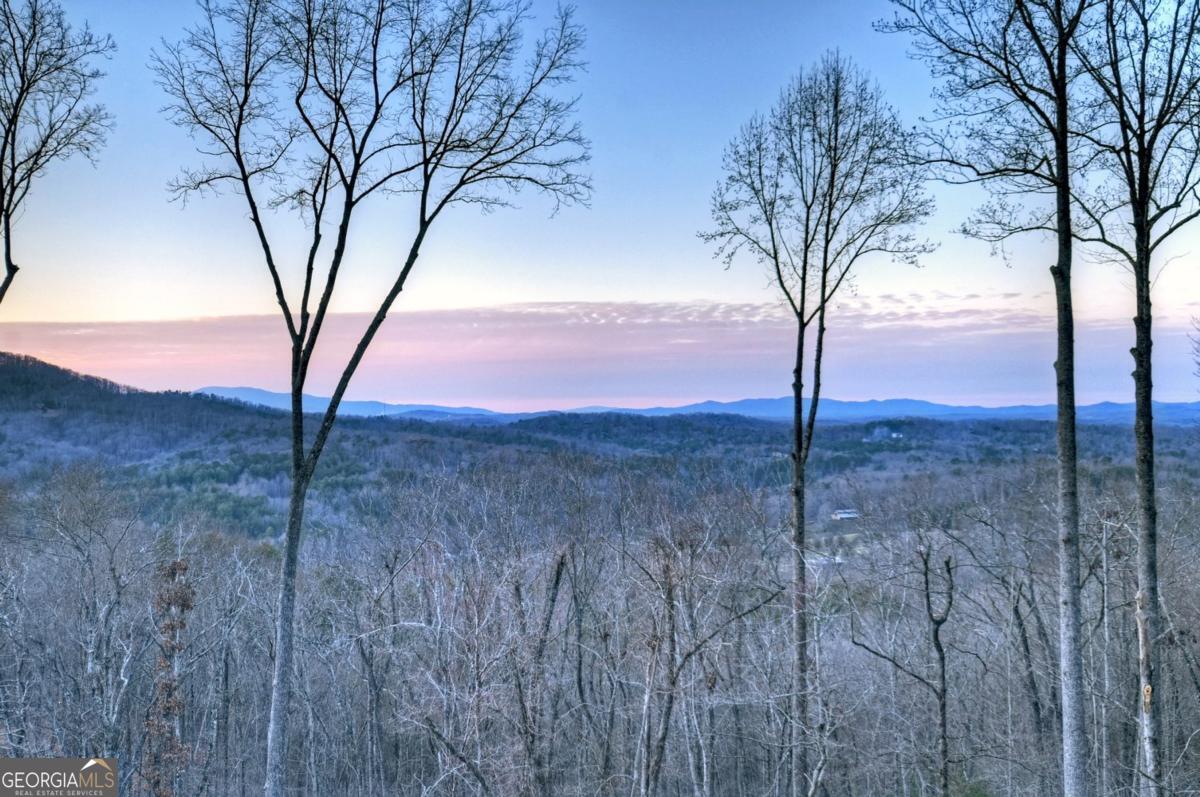 415 Green Ridge Trail Blue Ridge, GA 30513 - Photo 2 of 94