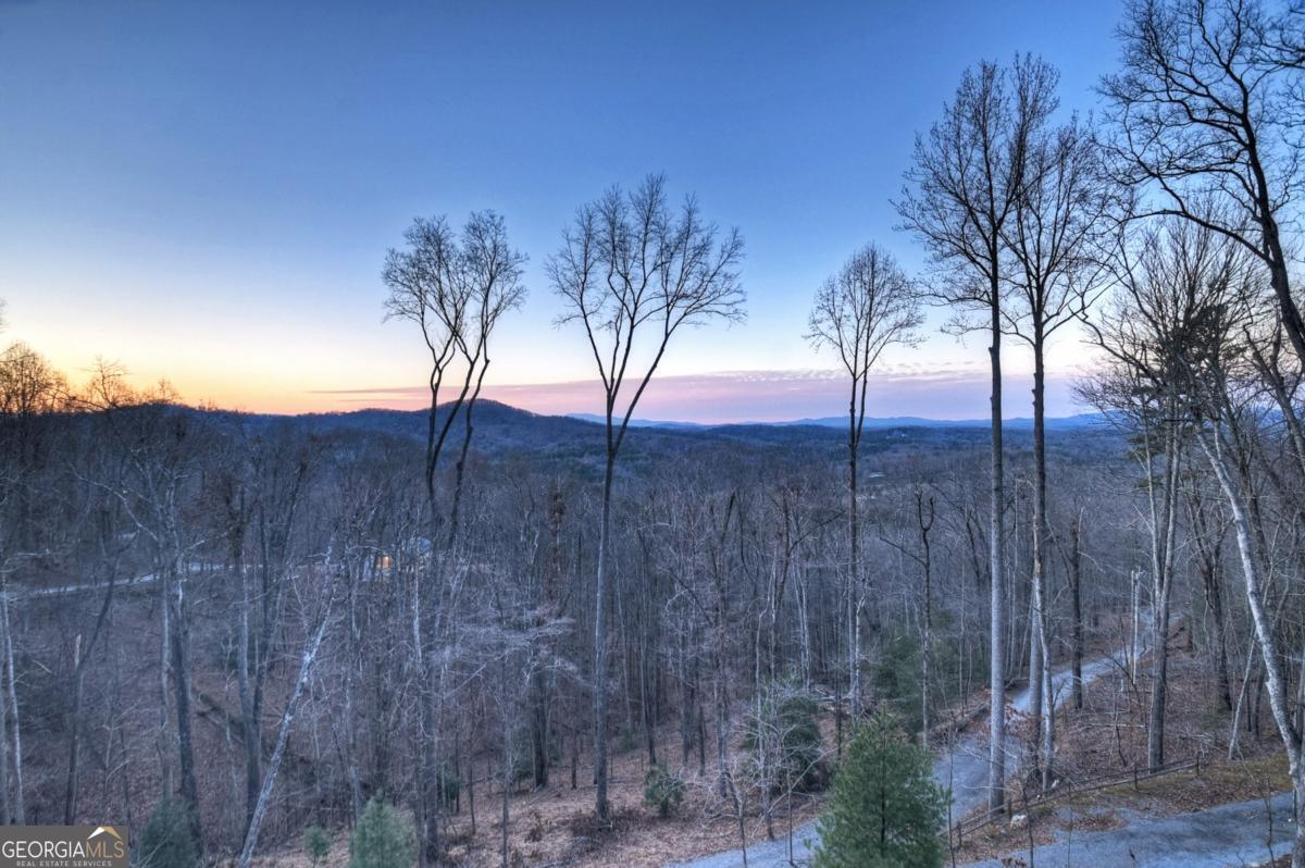 415 Green Ridge Trail Blue Ridge, GA 30513 - Photo 29 of 94