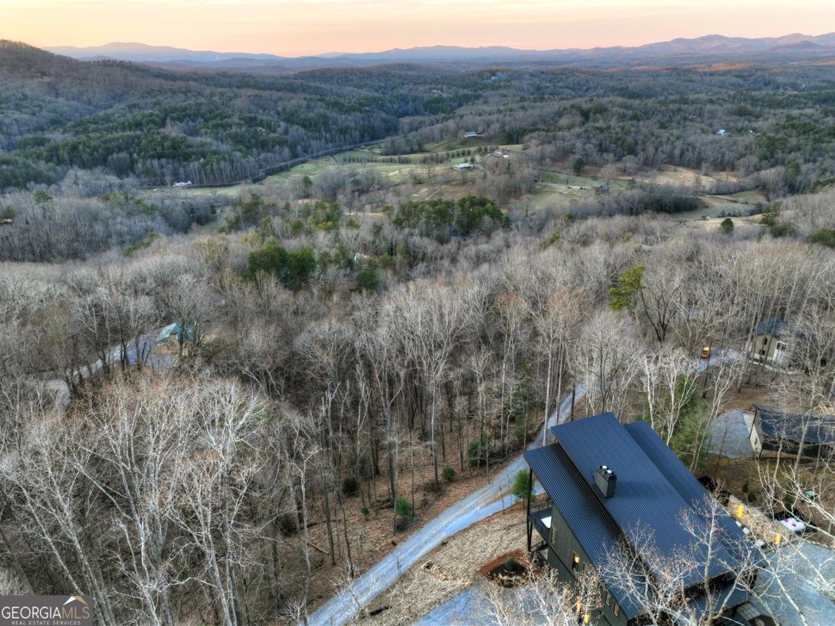 415 Green Ridge Trail Blue Ridge, GA 30513 - Photo 10 of 94