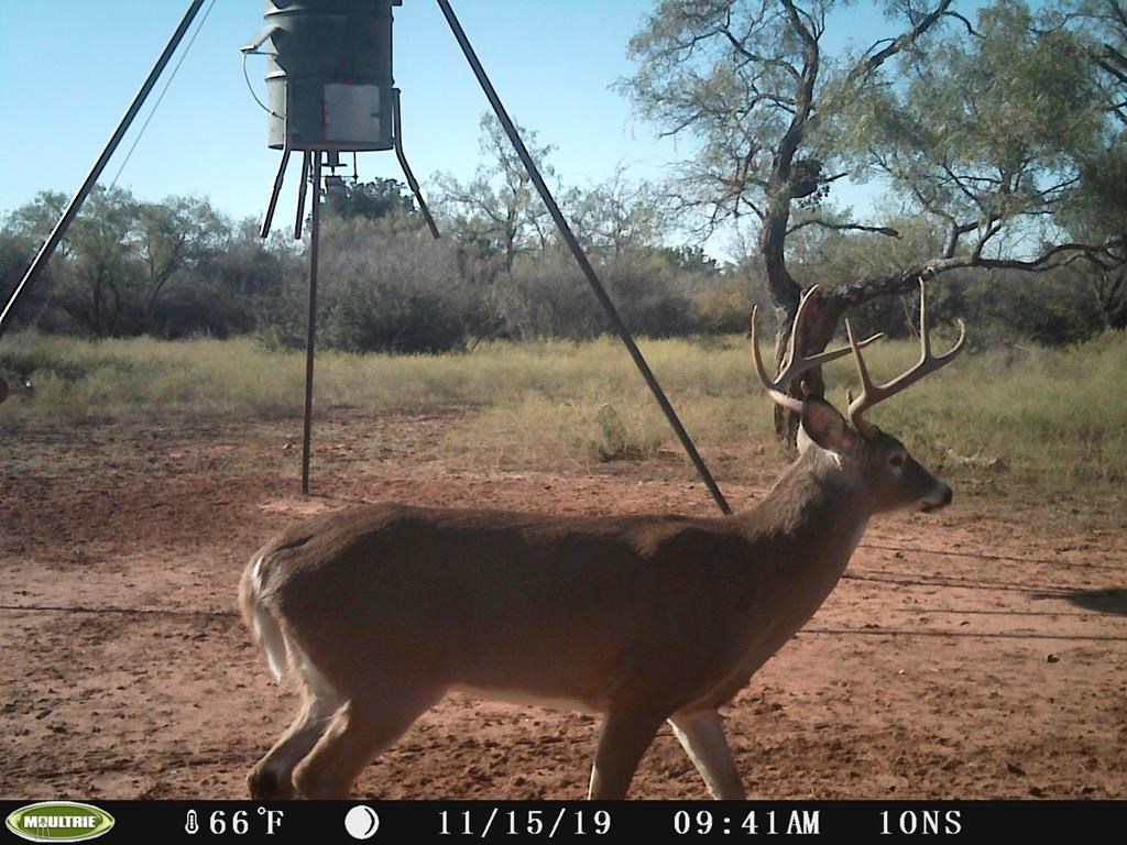 16 Jack Rabbit Road, Unit 16 Doss, TX 78618 - Photo 21 of 23