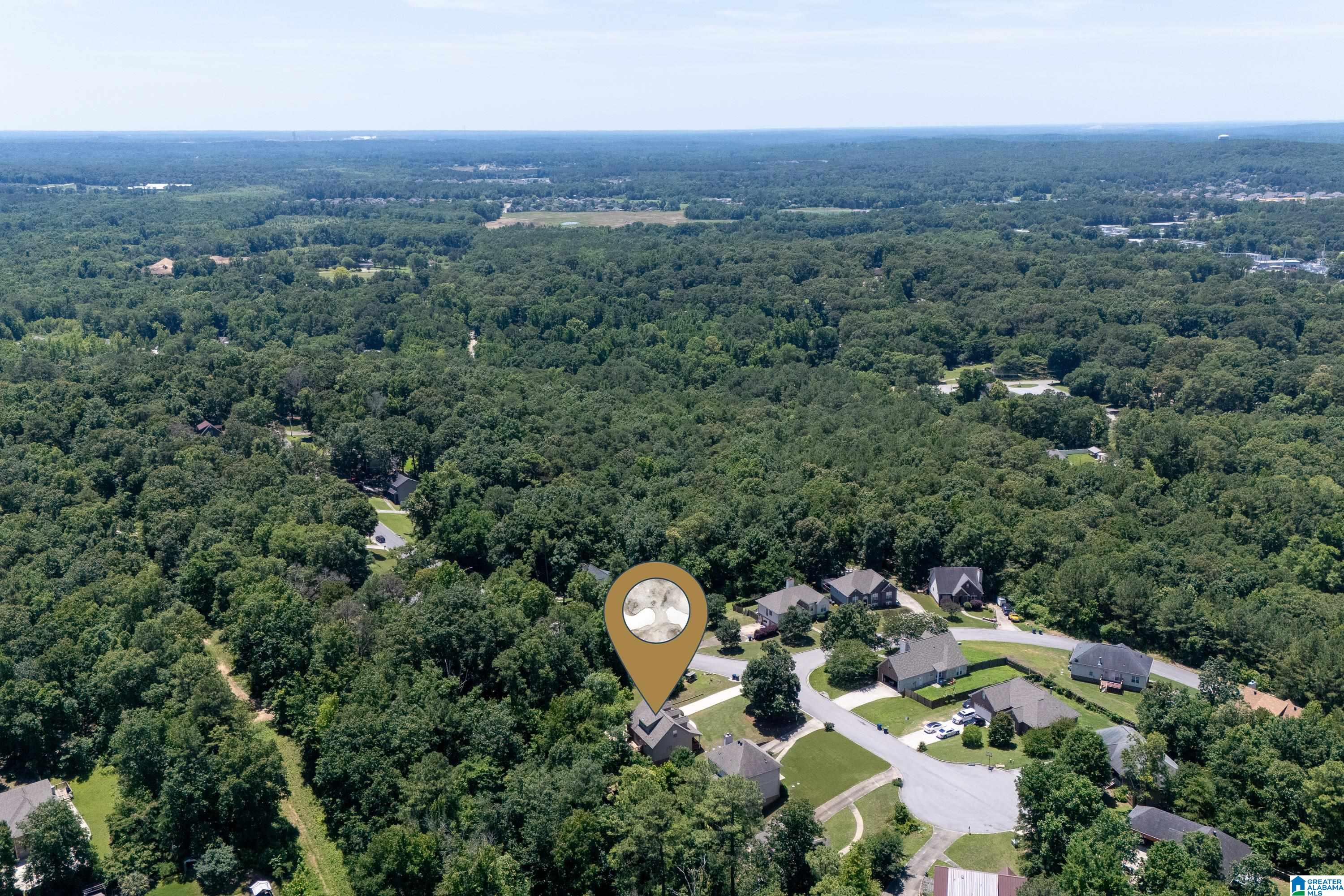 1433 Heather Lane Alabaster, AL 35007 - Photo 48 of 49