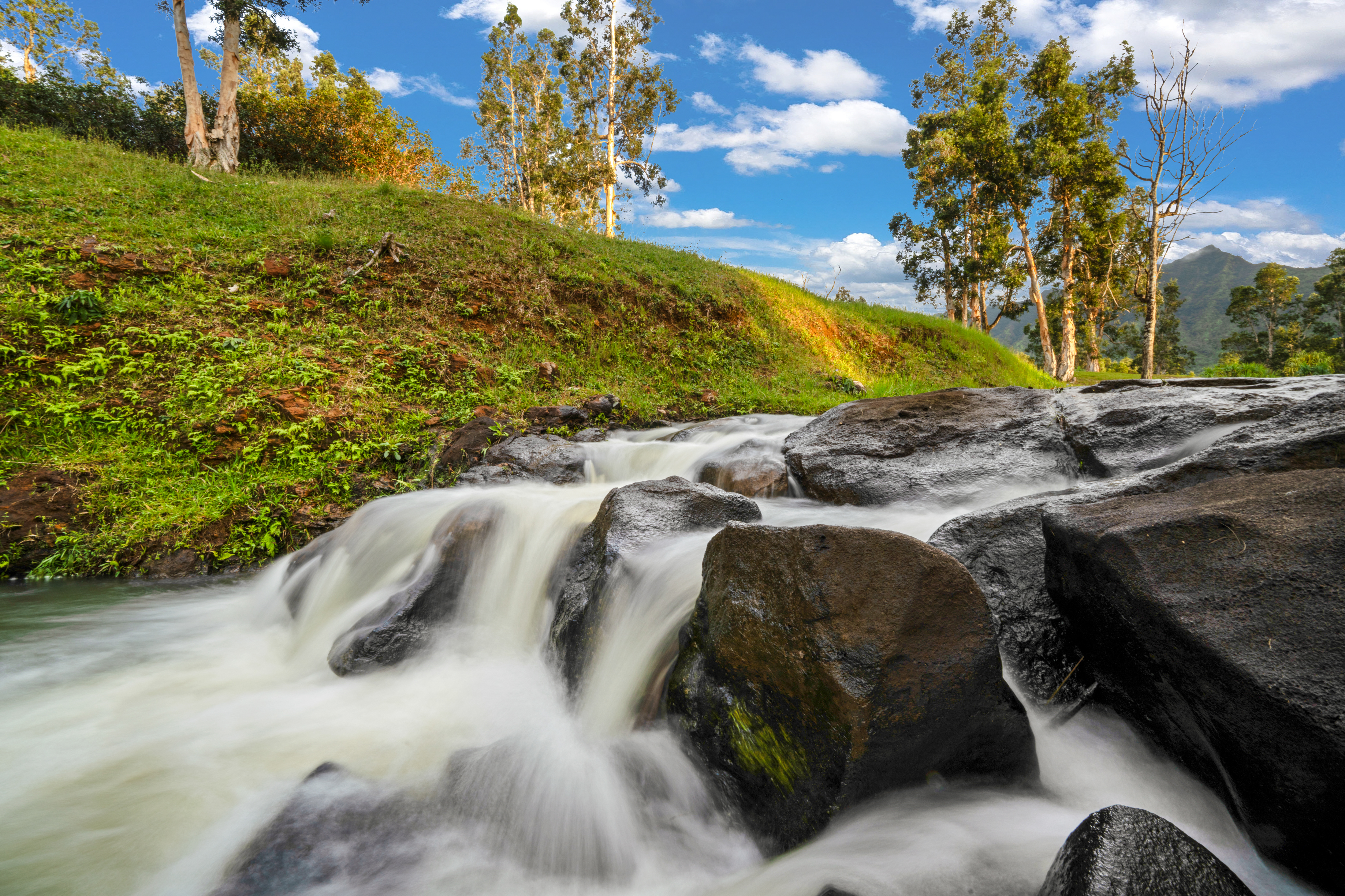 2818 Kamookoa Road, Unit 3 Kilauea, HI 96754 - Photo 11 of 16