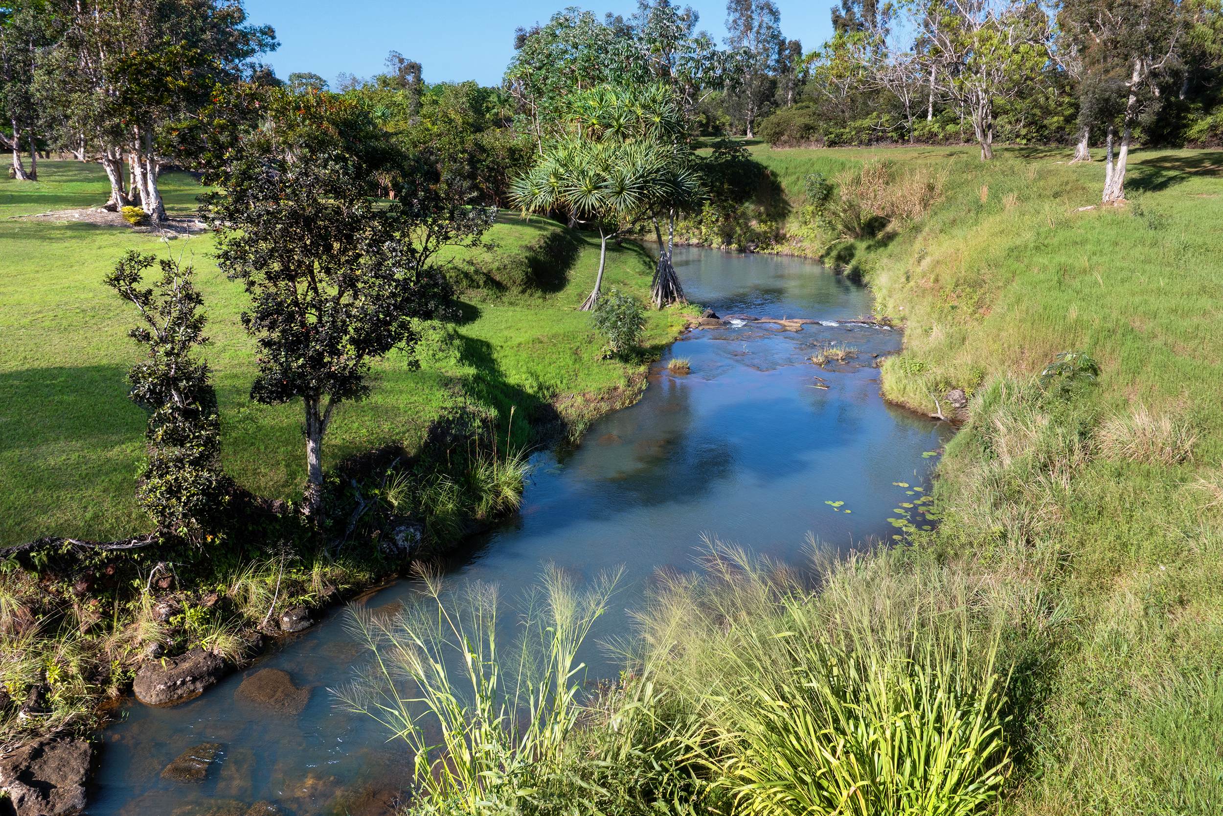2818 Kamookoa Road, Unit 3 Kilauea, HI 96754 - Photo 11 of 20