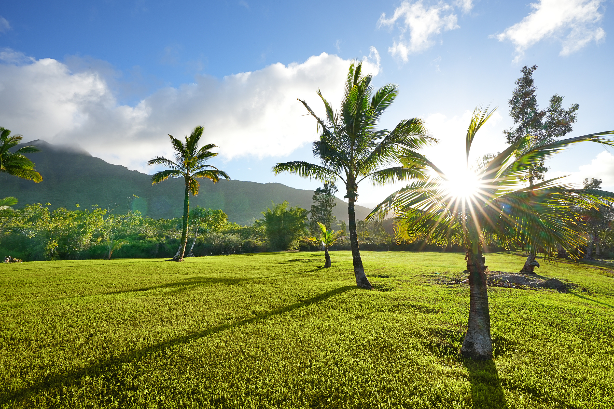 2818 Kamookoa Road, Unit 3 Kilauea, HI 96754 - Photo 16 of 20