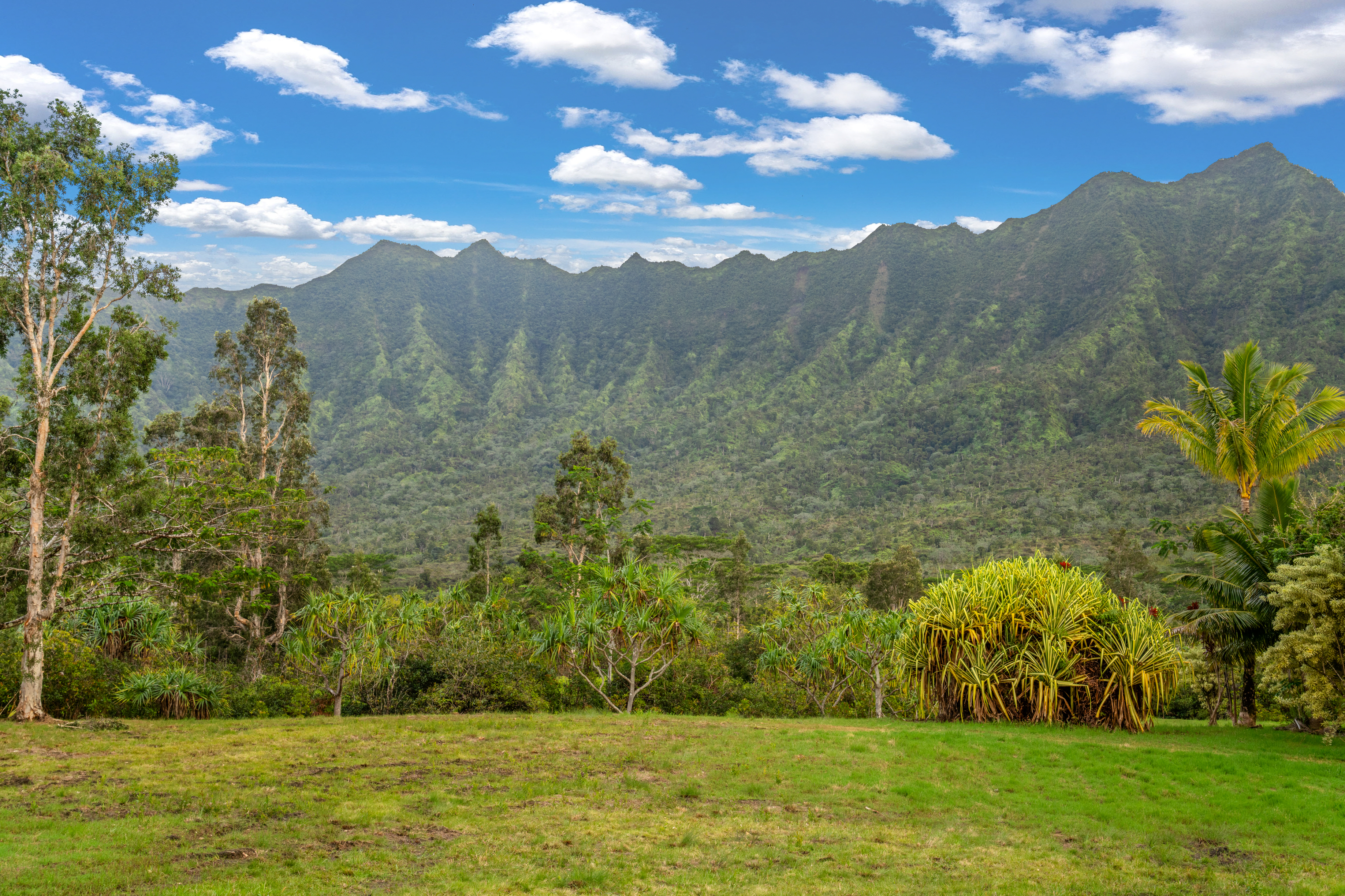2818 Kamookoa Road, Unit 3 Kilauea, HI 96754 - Photo 19 of 20