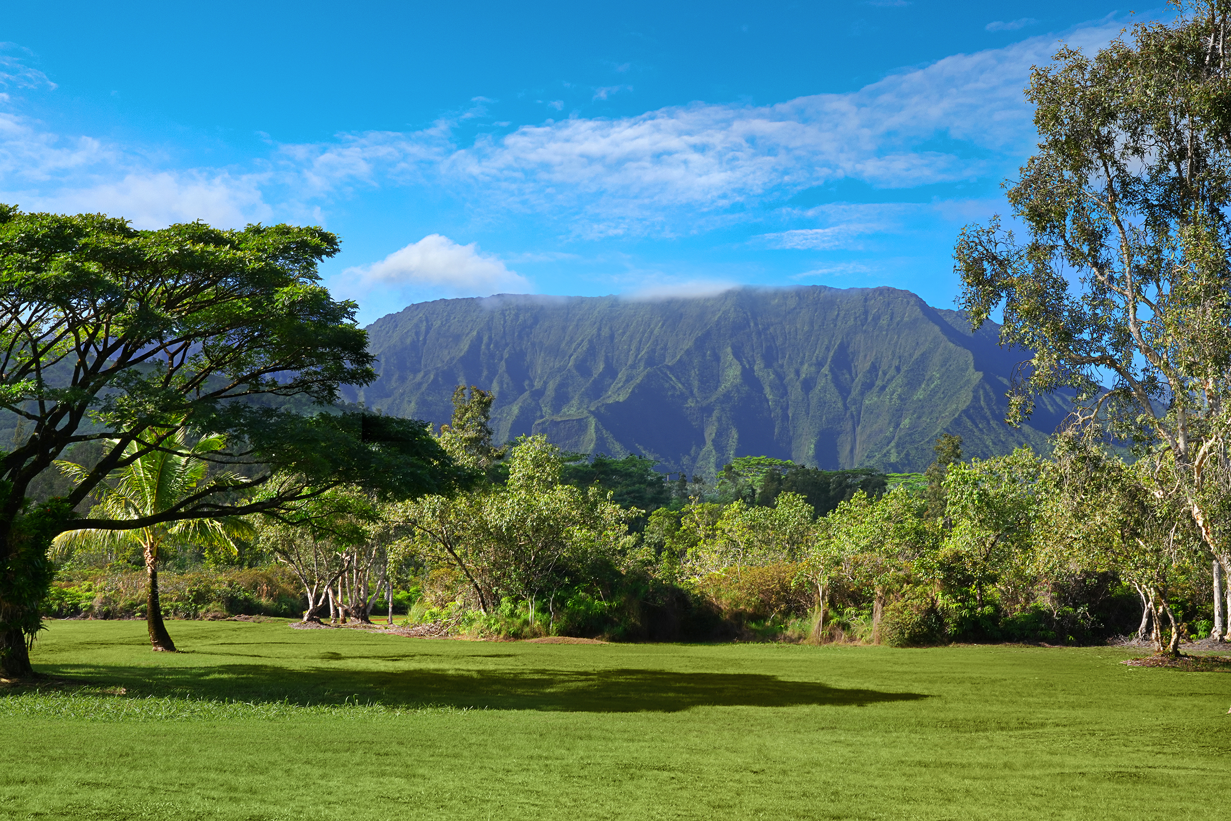 2818 Kamookoa Road, Unit 3 Kilauea, HI 96754 - Photo 2 of 20