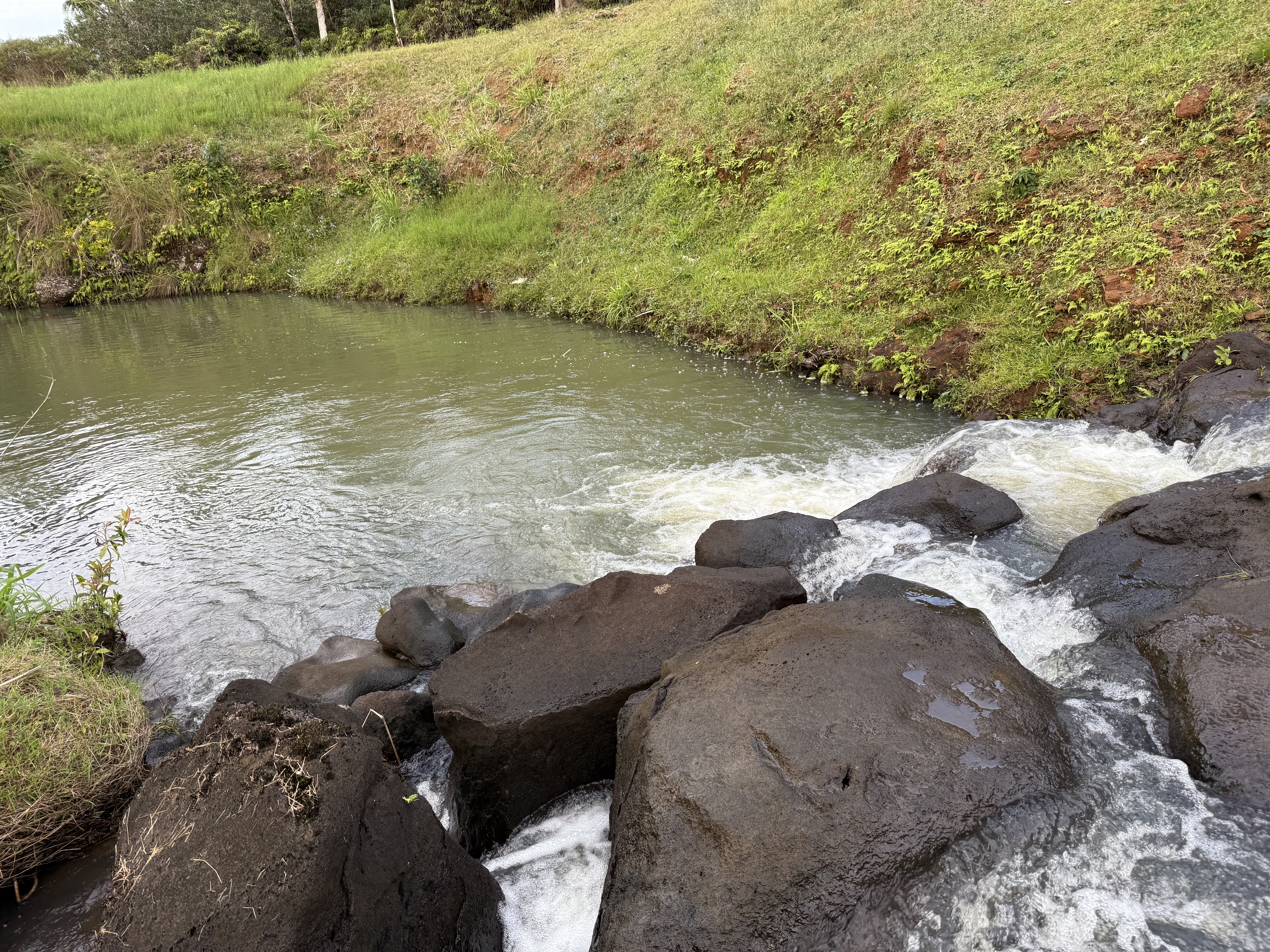 2818 Kamookoa Road, Unit 3 Kilauea, HI 96754 - Photo 3 of 16