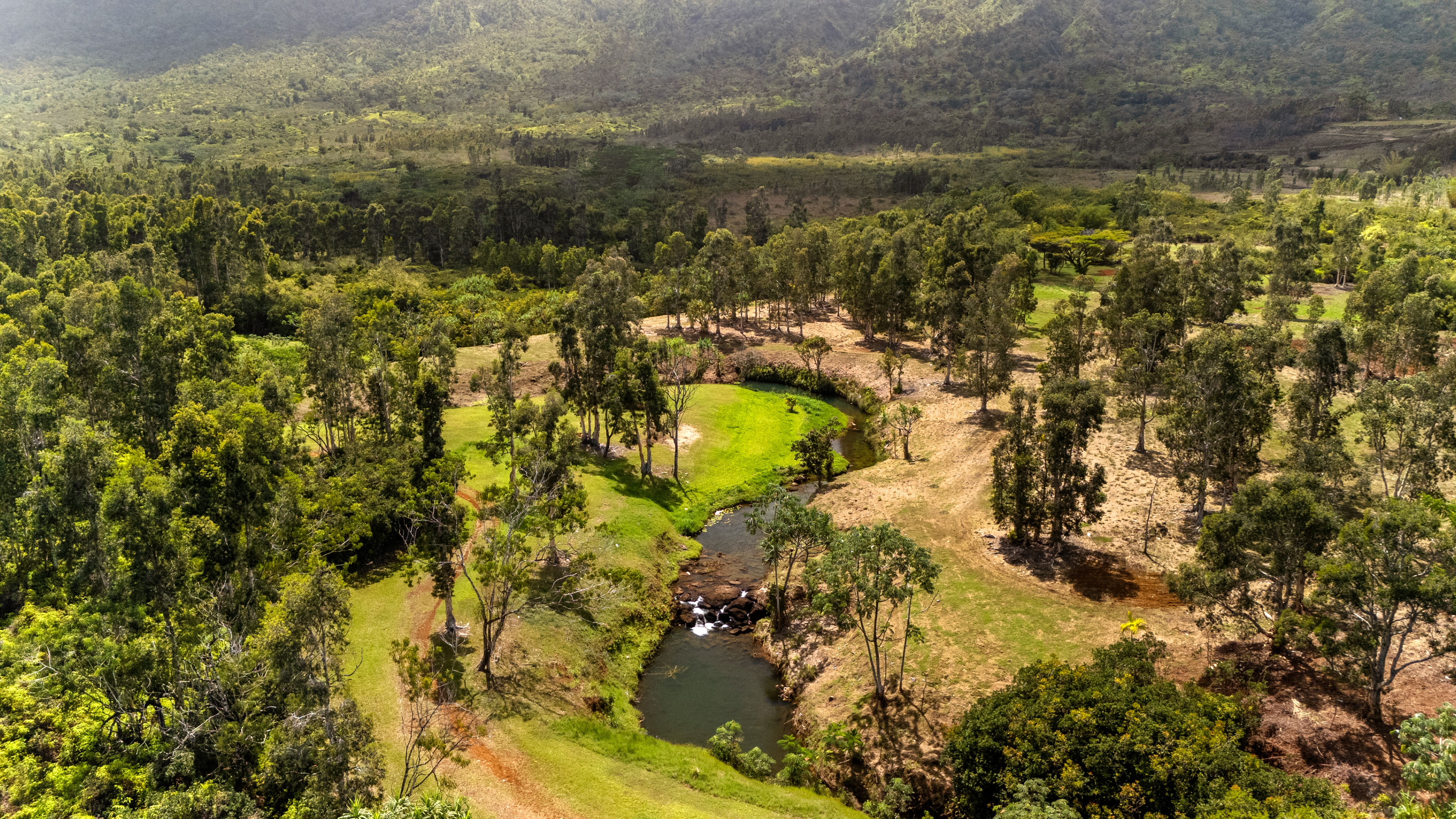 2818 Kamookoa Road, Unit 3 Kilauea, HI 96754 - Photo 7 of 16
