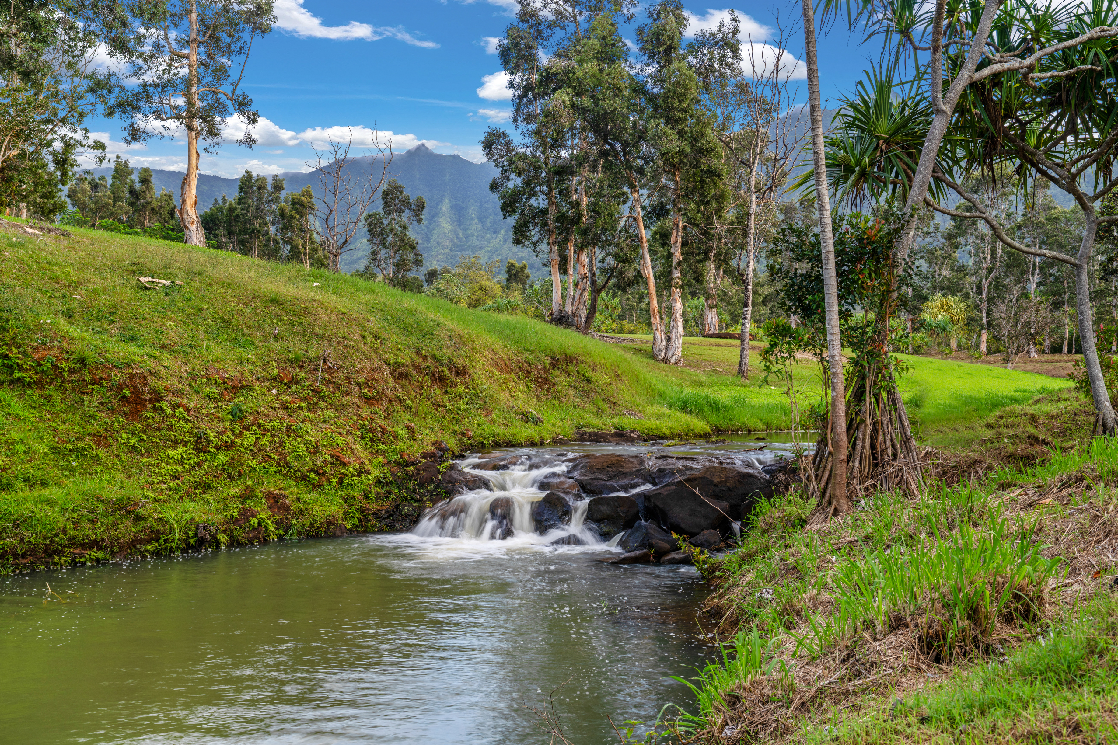 2818 Kamookoa Road, Unit 3 Kilauea, HI 96754 - Photo 9 of 16