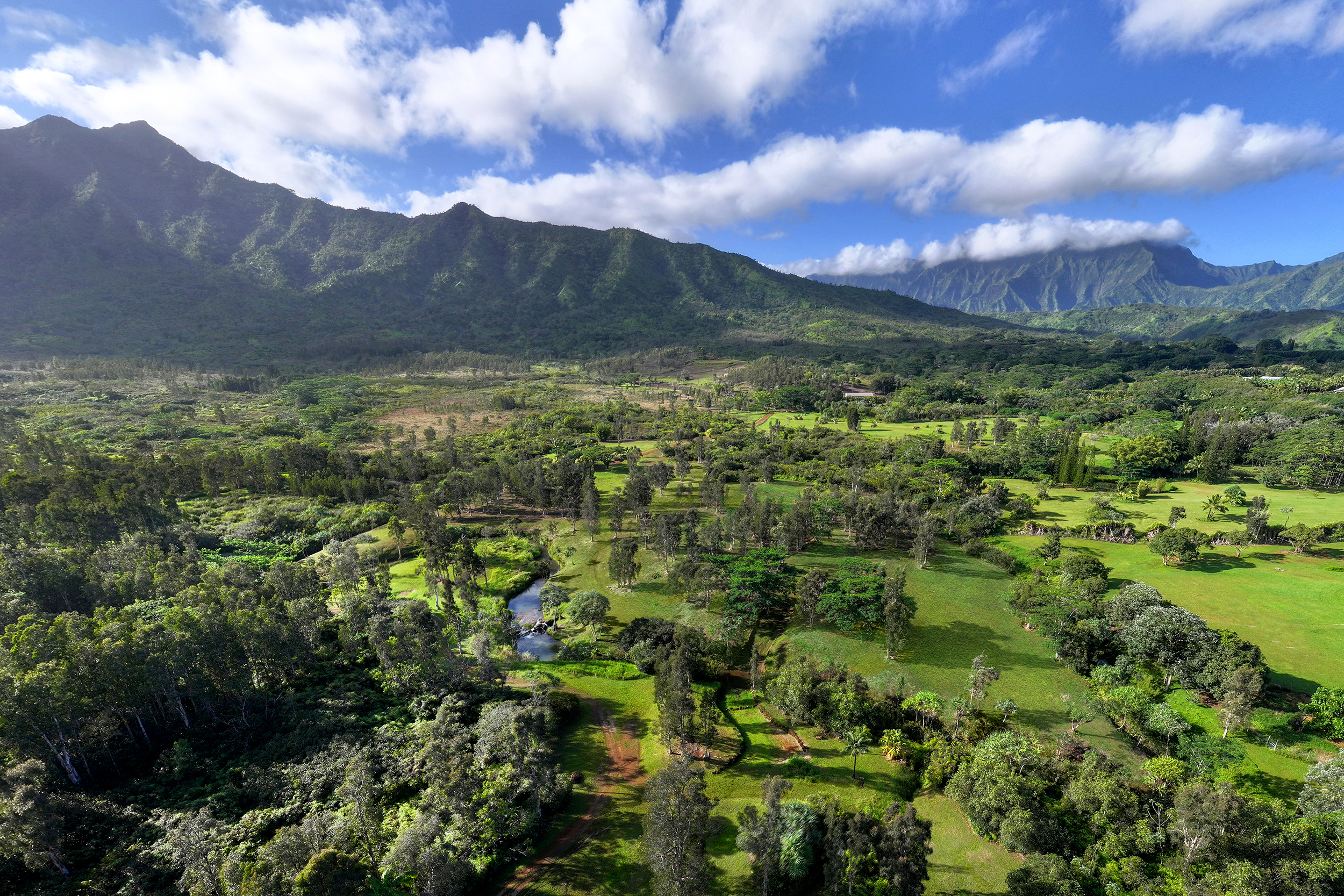 2818 Kamookoa Road, Unit 3 Kilauea, HI 96754 - Photo 9 of 20
