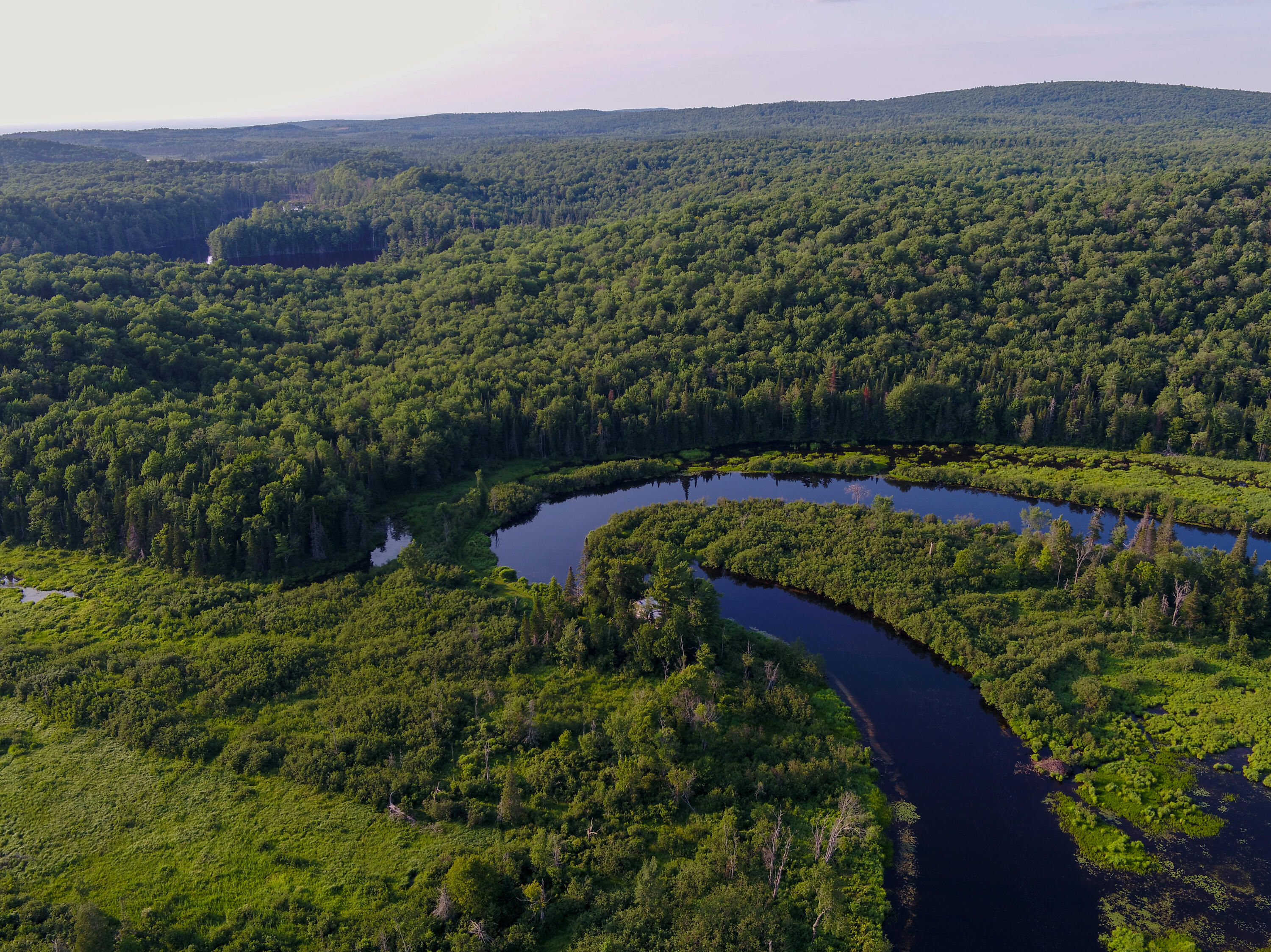 585 Trim Road St. Regis Falls, NY 12980 - Photo 11 of 19 Gallery Image 11
