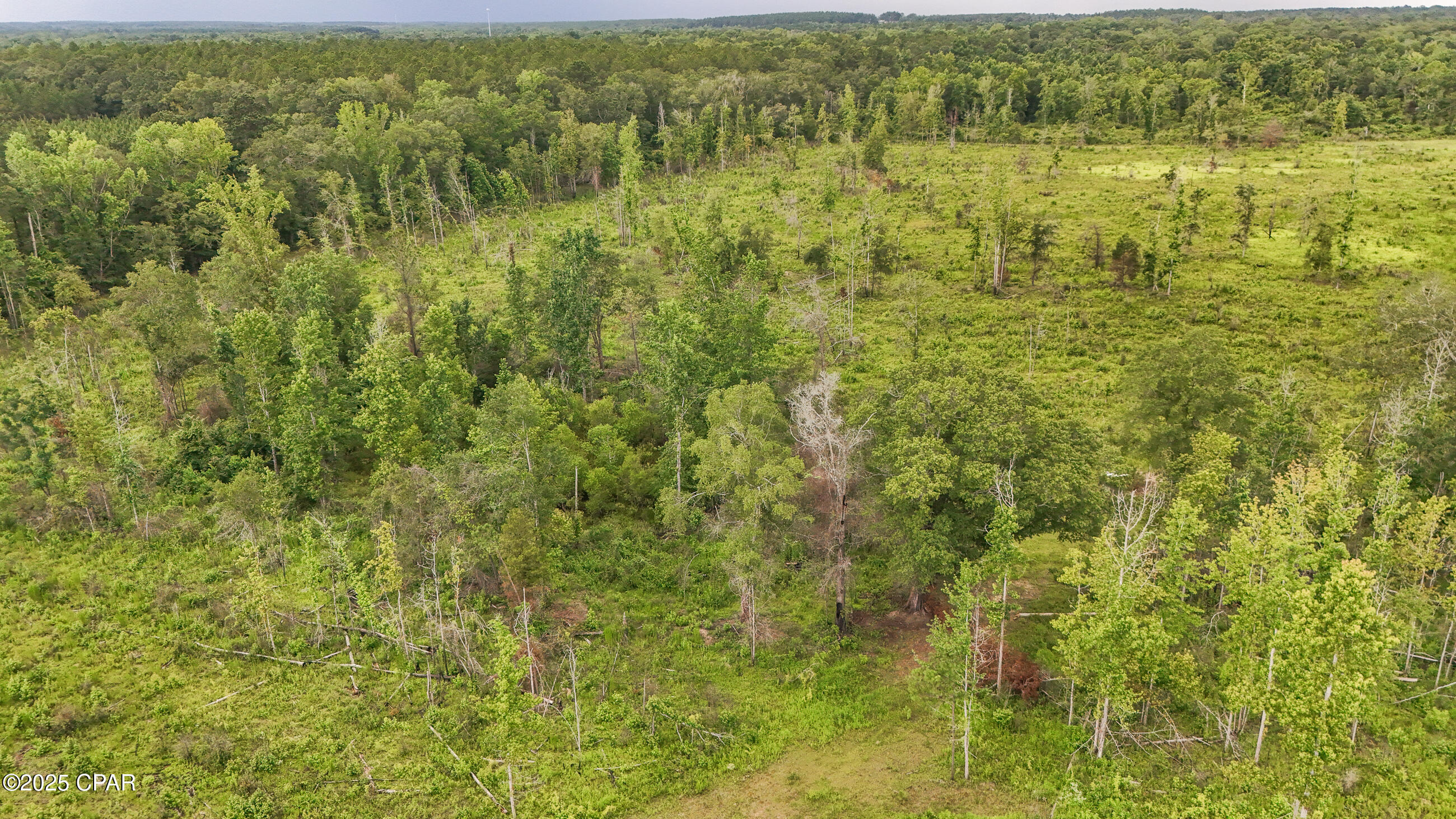 0 Bush Road Bonifay, FL 32425 - Photo 9 of 16