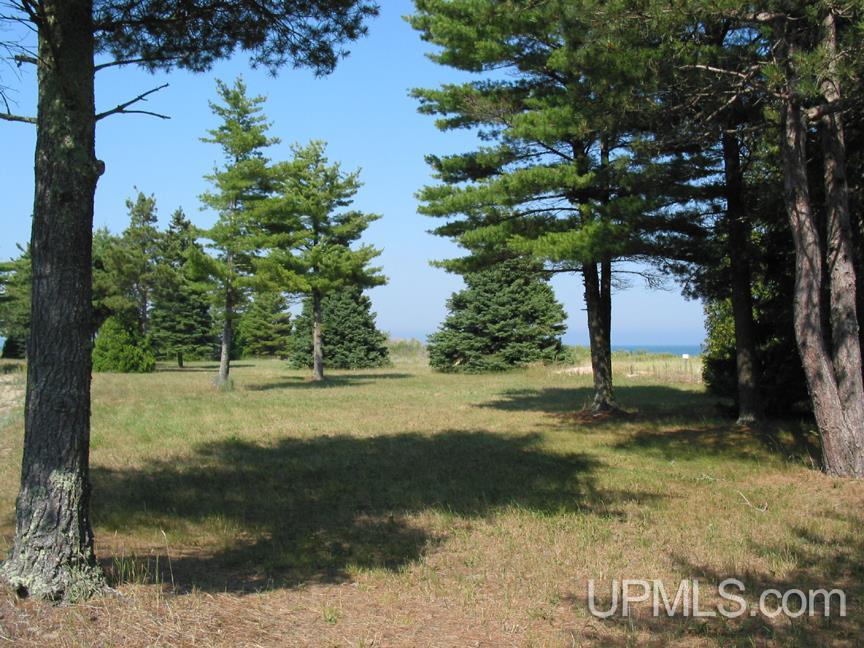 Tbd Thompson Trails Road, Unit PARCEL D Manistique, MI 49854 - Photo 4 of 13
