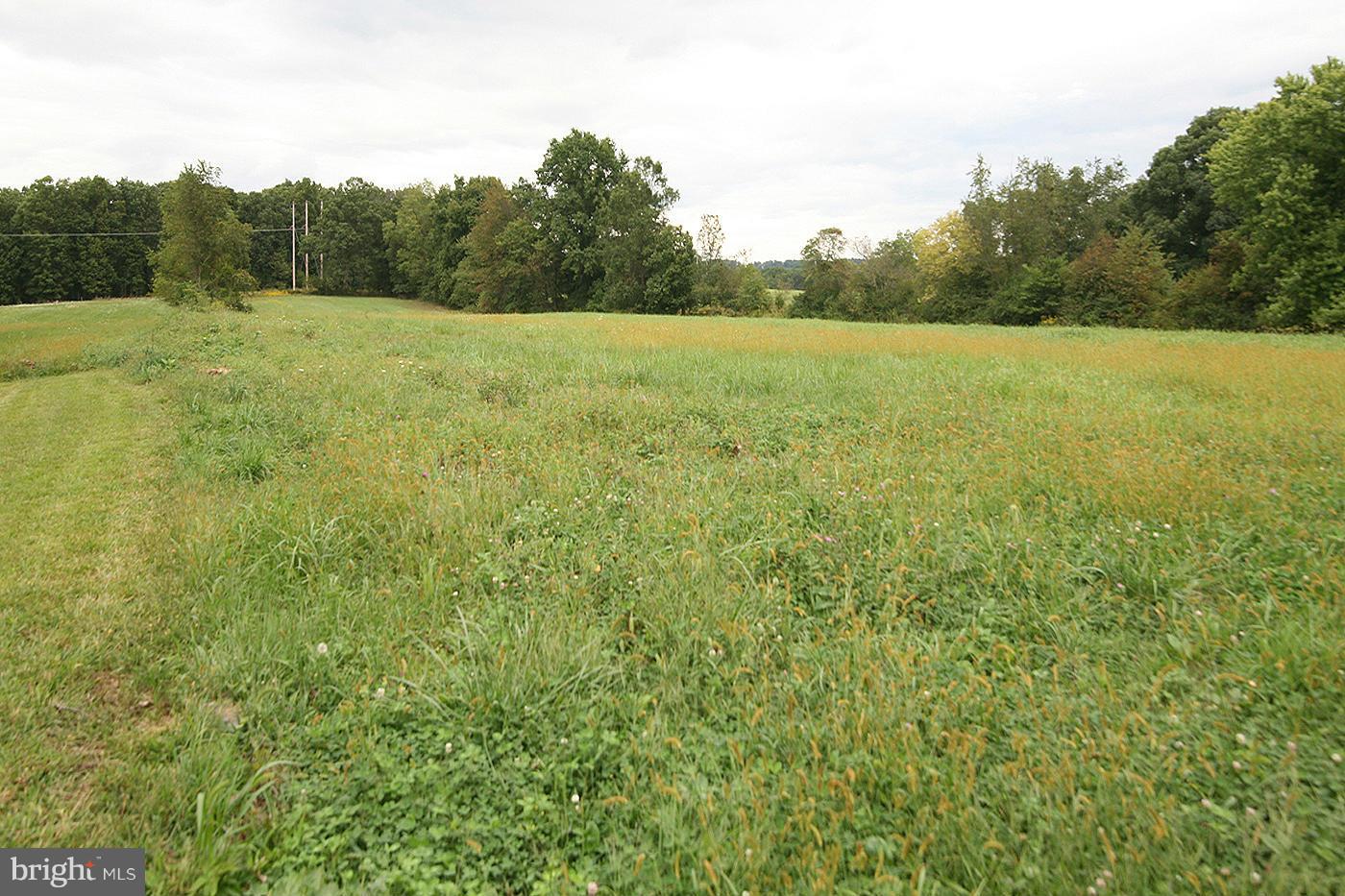 9050 New Cut Road Rocky Ridge, MD 21778 - Photo 17 of 24 a view of an outdoor space and a yard