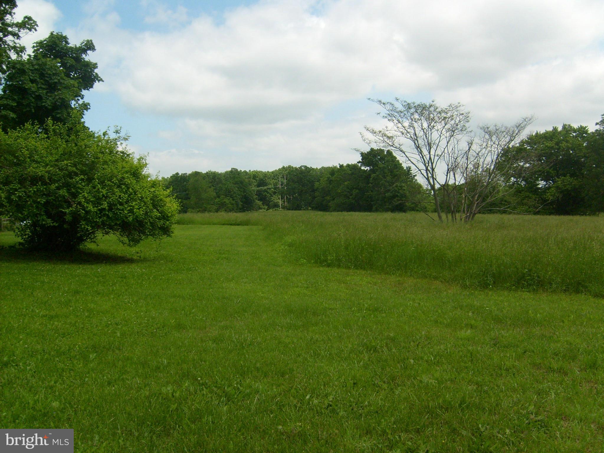 9050 New Cut Road Rocky Ridge, MD 21778 - Photo 21 of 24 a view of grassy field with trees