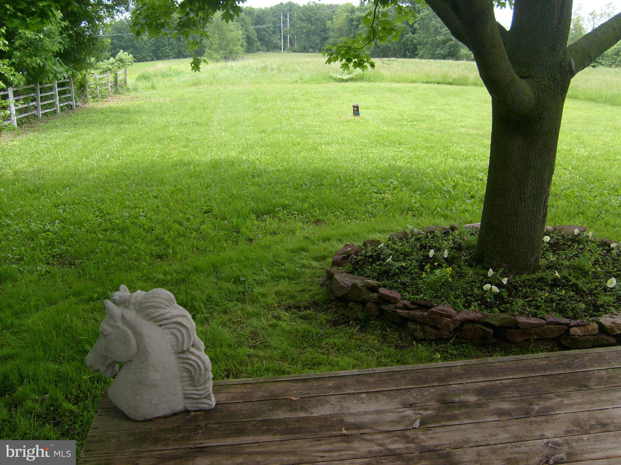 9050 New Cut Road Rocky Ridge, MD 21778 - Photo 22 of 24 a view of a garden with a fountain