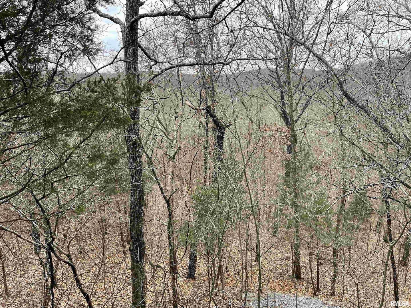 0 Ragan Road Eddyville, IL 62928 - Photo 14 of 16 a backyard of a house with lots of green space