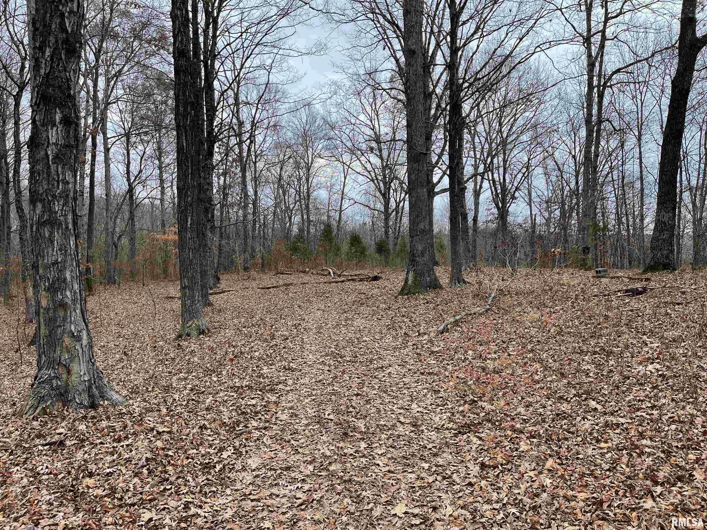 0 Ragan Road Eddyville, IL 62928 - Photo 9 of 16 a backyard of a house with lots of green space