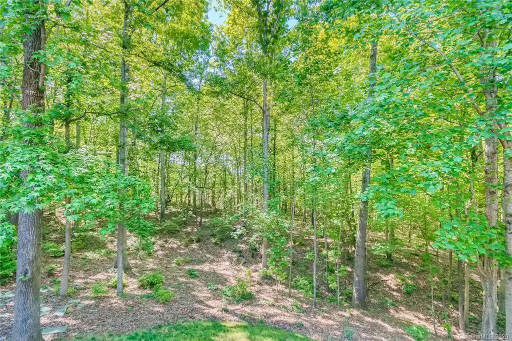1002 Potters Bluff Road Wesley Chapel, NC 28110 - Photo 37 of 37 Gallery Image 37