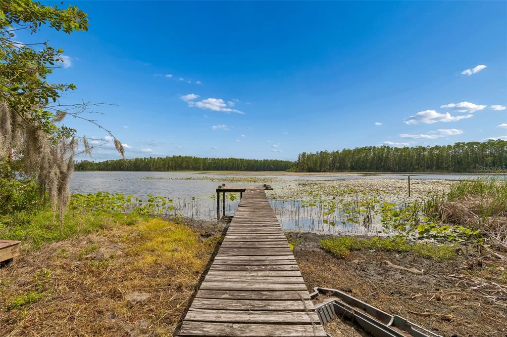 4743 School Road Land O' Lakes, FL 34638 - Photo 47 of 54 Gallery Image 47