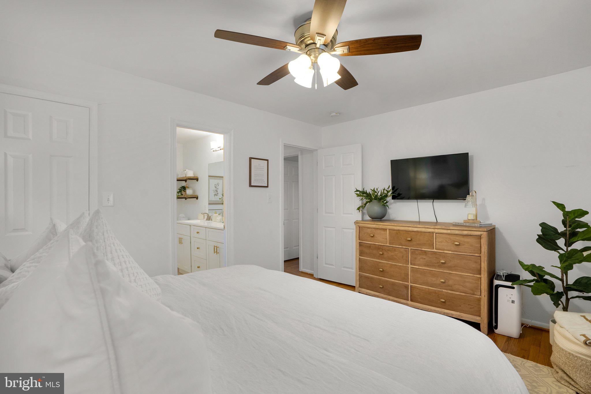 19617 Charline Manor Road Olney, MD 20832 - Photo 22 of 54 Primary with lighted ceiling fan