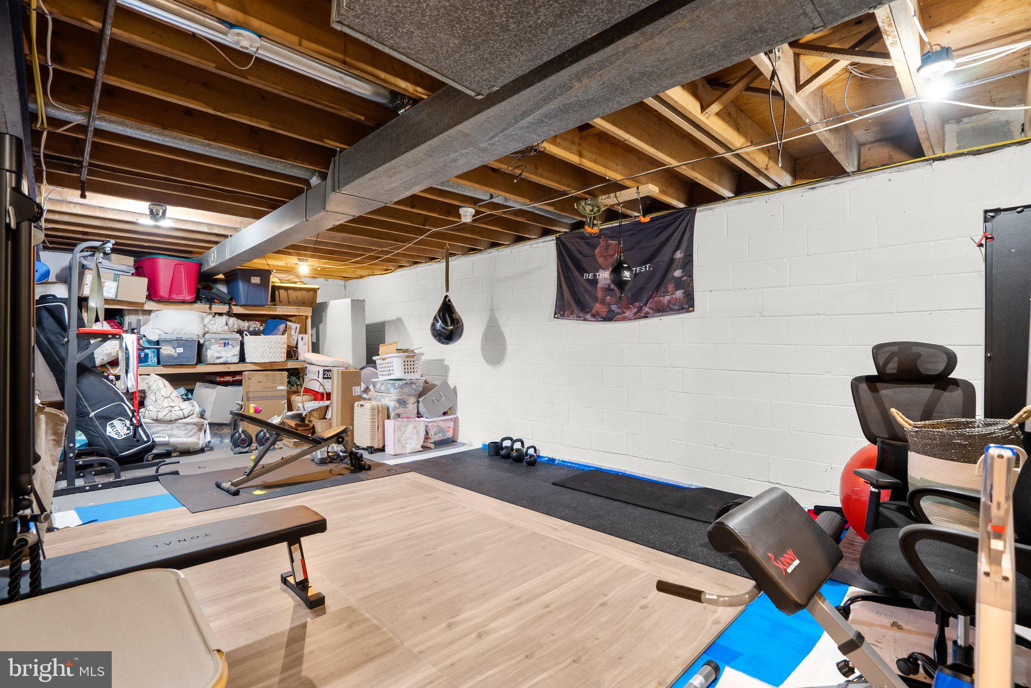 19617 Charline Manor Road Olney, MD 20832 - Photo 40 of 54 Awesome storage