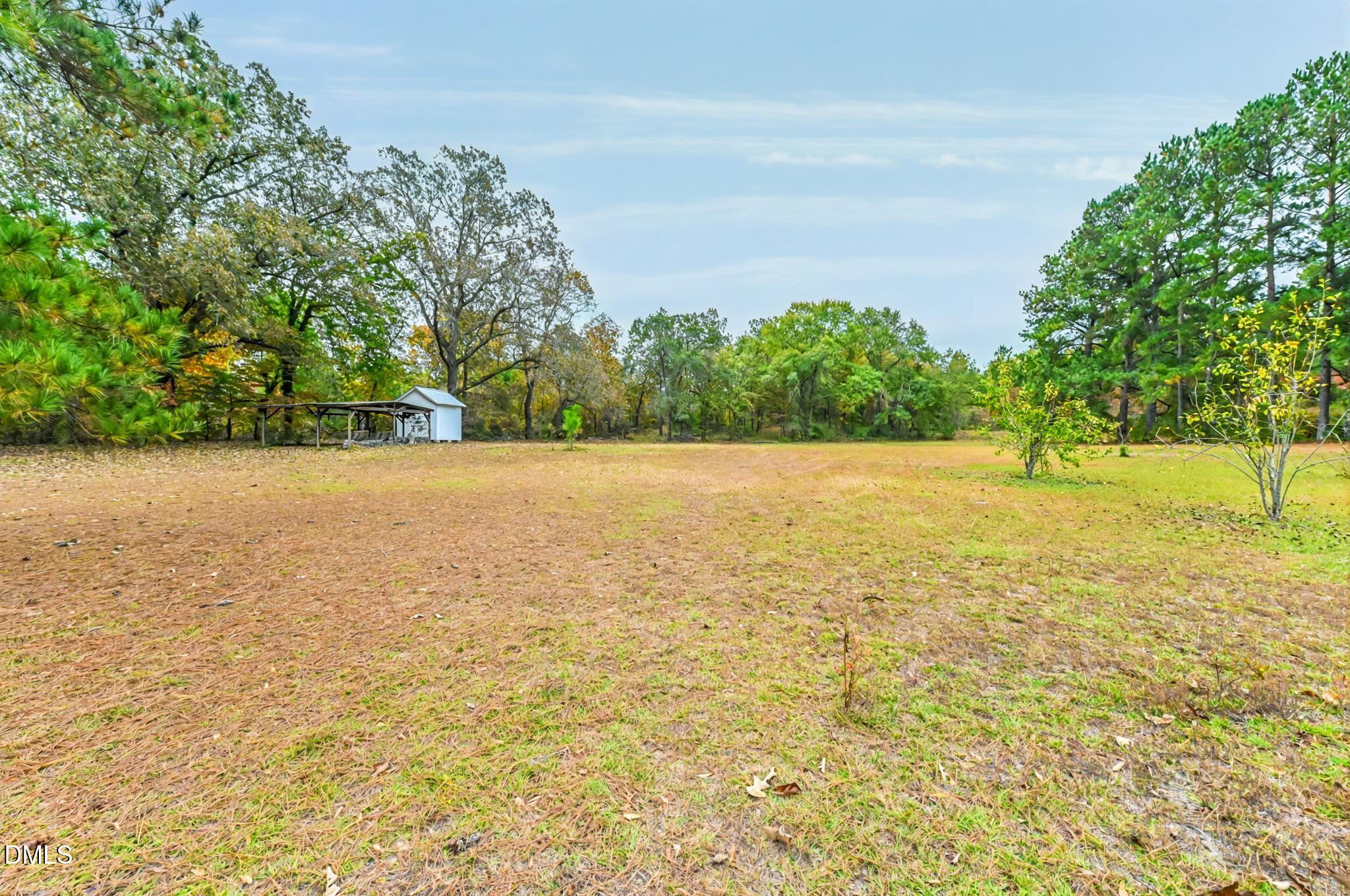 3011 Will Lucas Road Linden, NC 28356 - Photo 31 of 35 a view of yard with an ocean