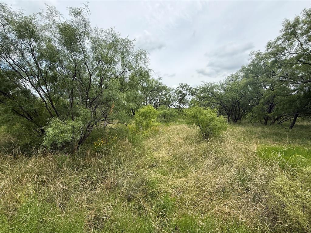 Tbd Coppic Ranch Road Brownwood, TX 76801 - Photo 11 of 13