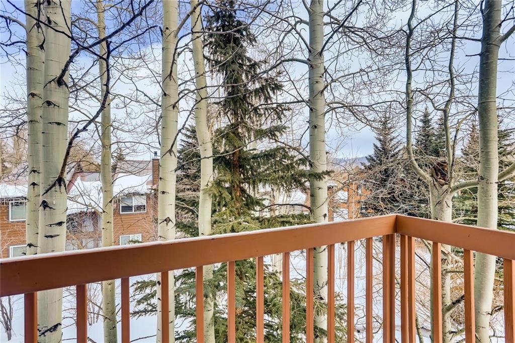 533 Bills Ranch Road Frisco, CO 80443 - Photo 24 of 27 Gallery Image 24