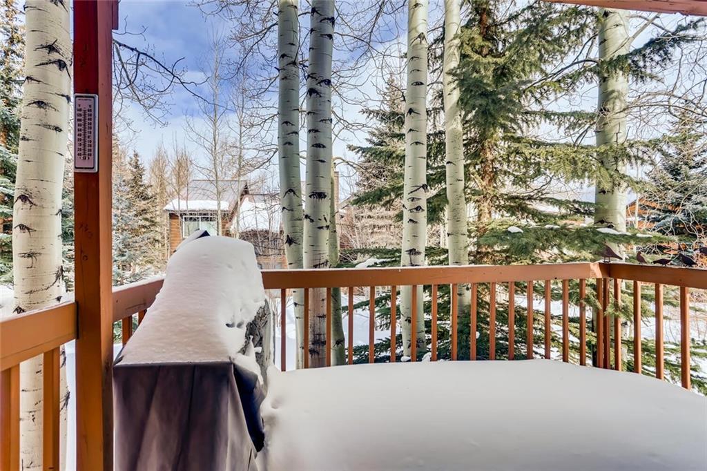 533 Bills Ranch Road Frisco, CO 80443 - Photo 25 of 27 Gallery Image 25