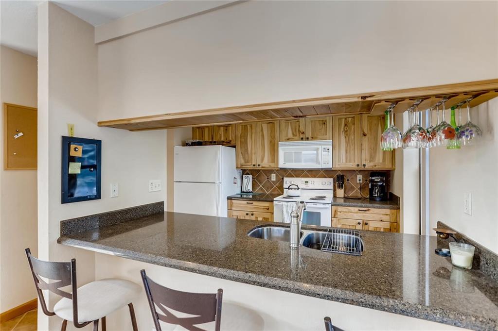 533 Bills Ranch Road Frisco, CO 80443 - Photo 8 of 27 Gallery Image 8