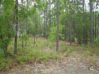 2191 East Boiling Spring Road Southport, NC 28461 - Photo 11 of 12 Additional Photo