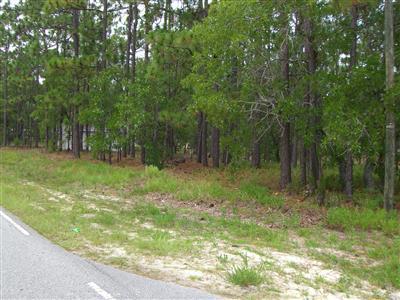 2191 East Boiling Spring Road Southport, NC 28461 - Photo 2 of 12 Additional Photo