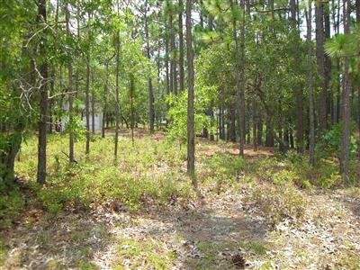 2191 East Boiling Spring Road Southport, NC 28461 - Photo 10 of 12 Additional Photo