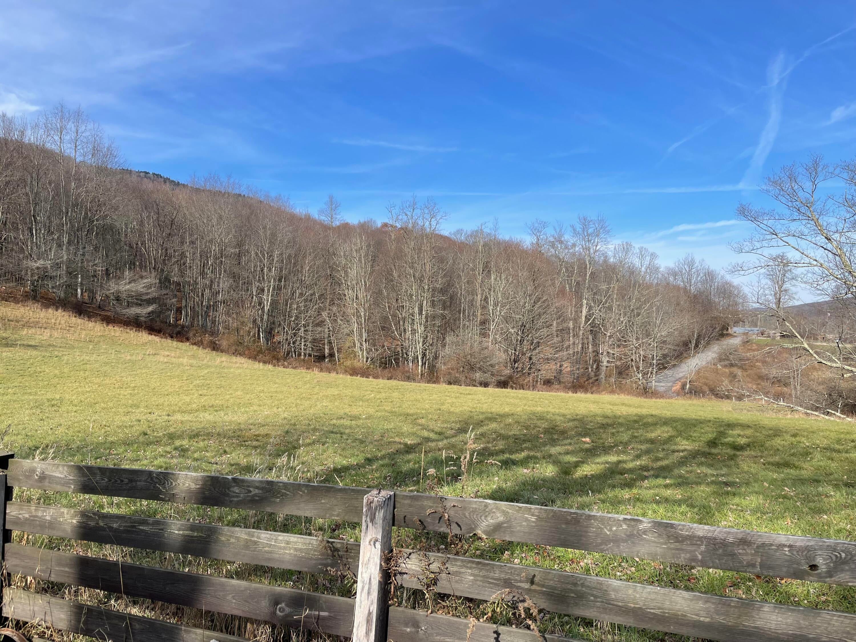 12593 Back Mountain Road Durbin, WV 26264 - Photo 23 of 84 Gallery Image 23
