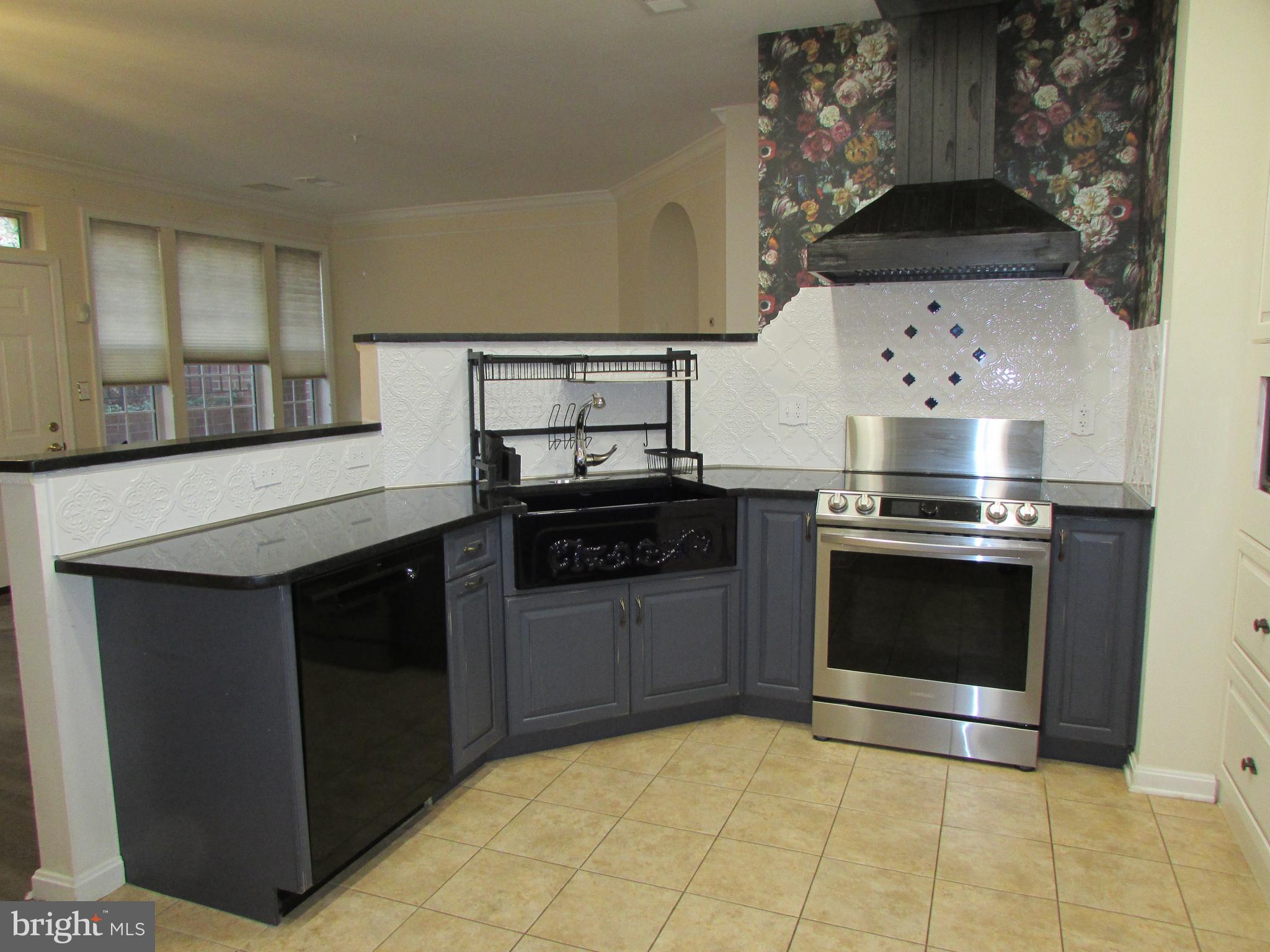 7035 Haycock Road, Unit 103 Falls Church, VA 22043 - Photo 9 of 12 Updated Kitchen