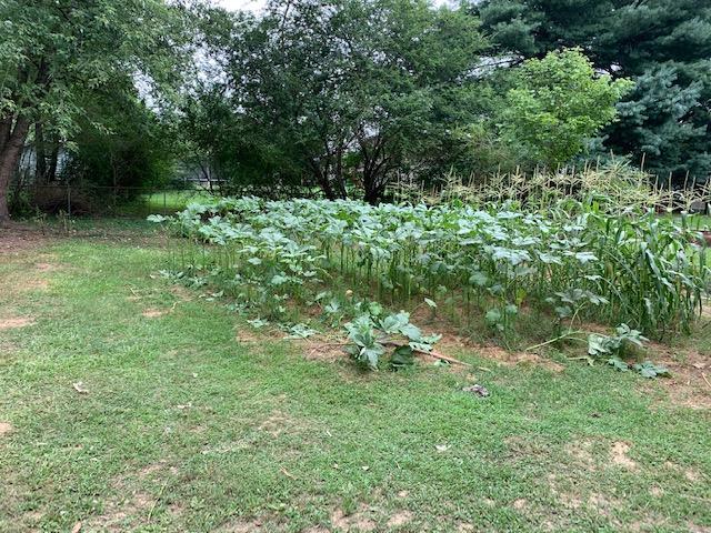 560 West Reed Road LaFayette, GA 30728 - Photo 24 of 26 IMG_3825