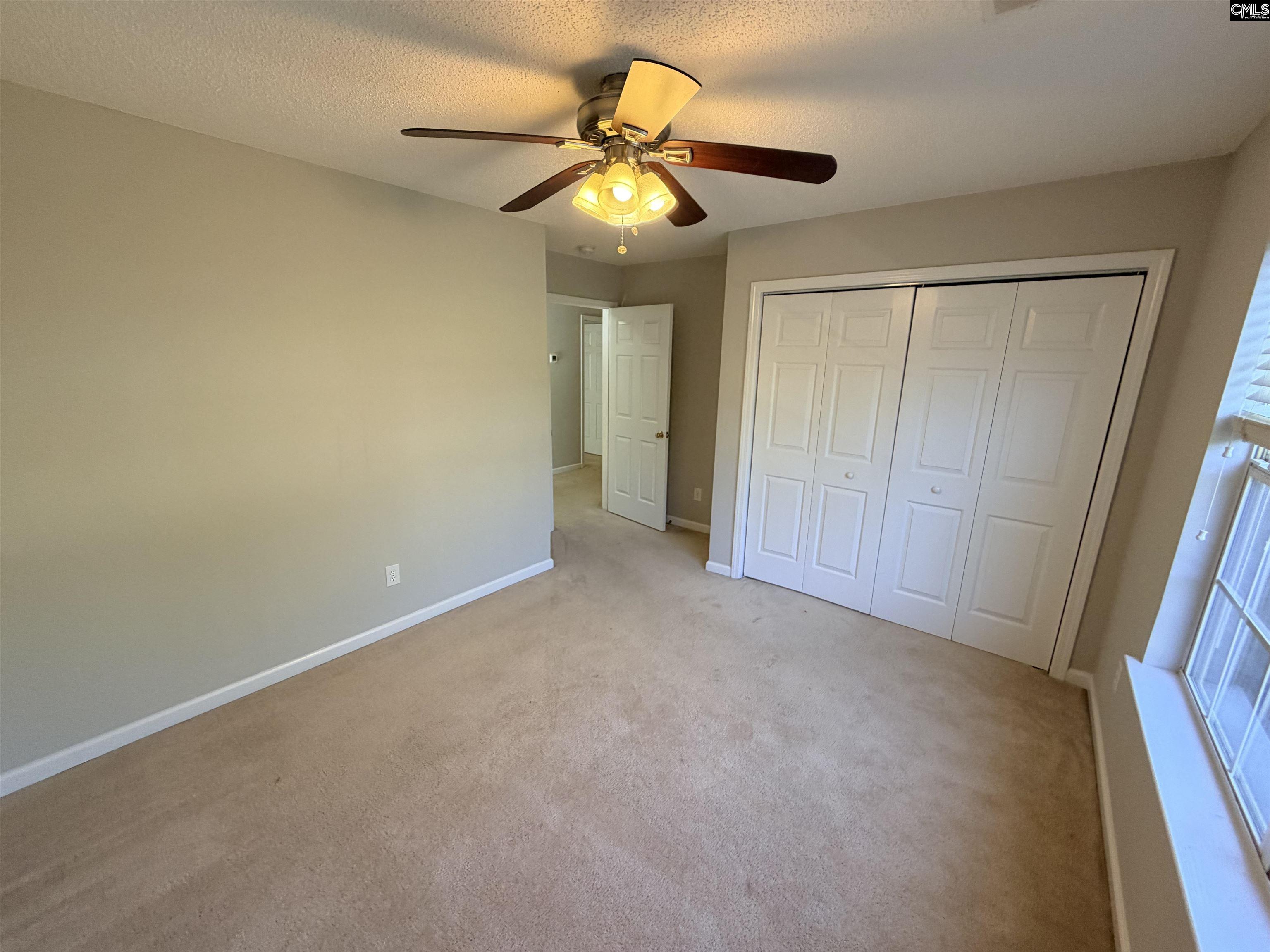 5 Redbrush Court Chapin, SC 29036 - Photo 15 of 36