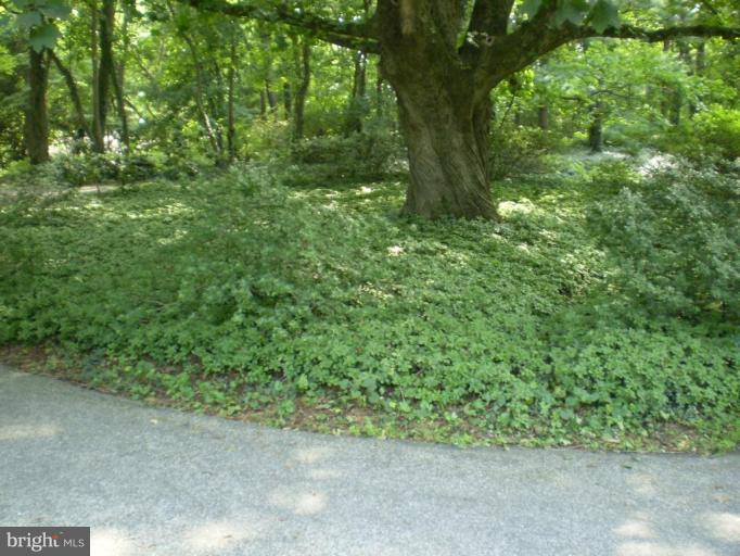 1930 Old Court Road Towson, MD 21093 - Photo 4 of 30 Other #1