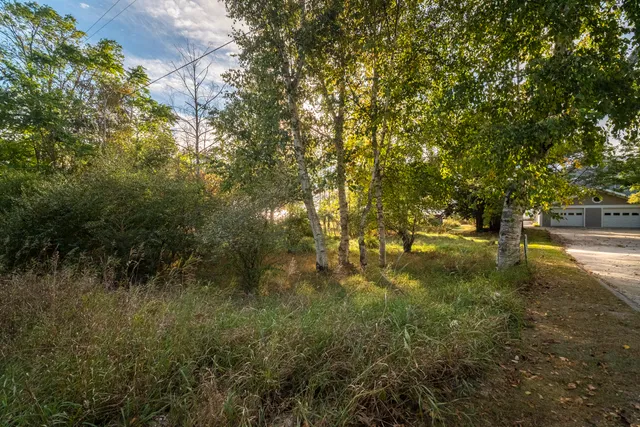 $650,000 | Lakeview Road, Bear Lake, MI 49614