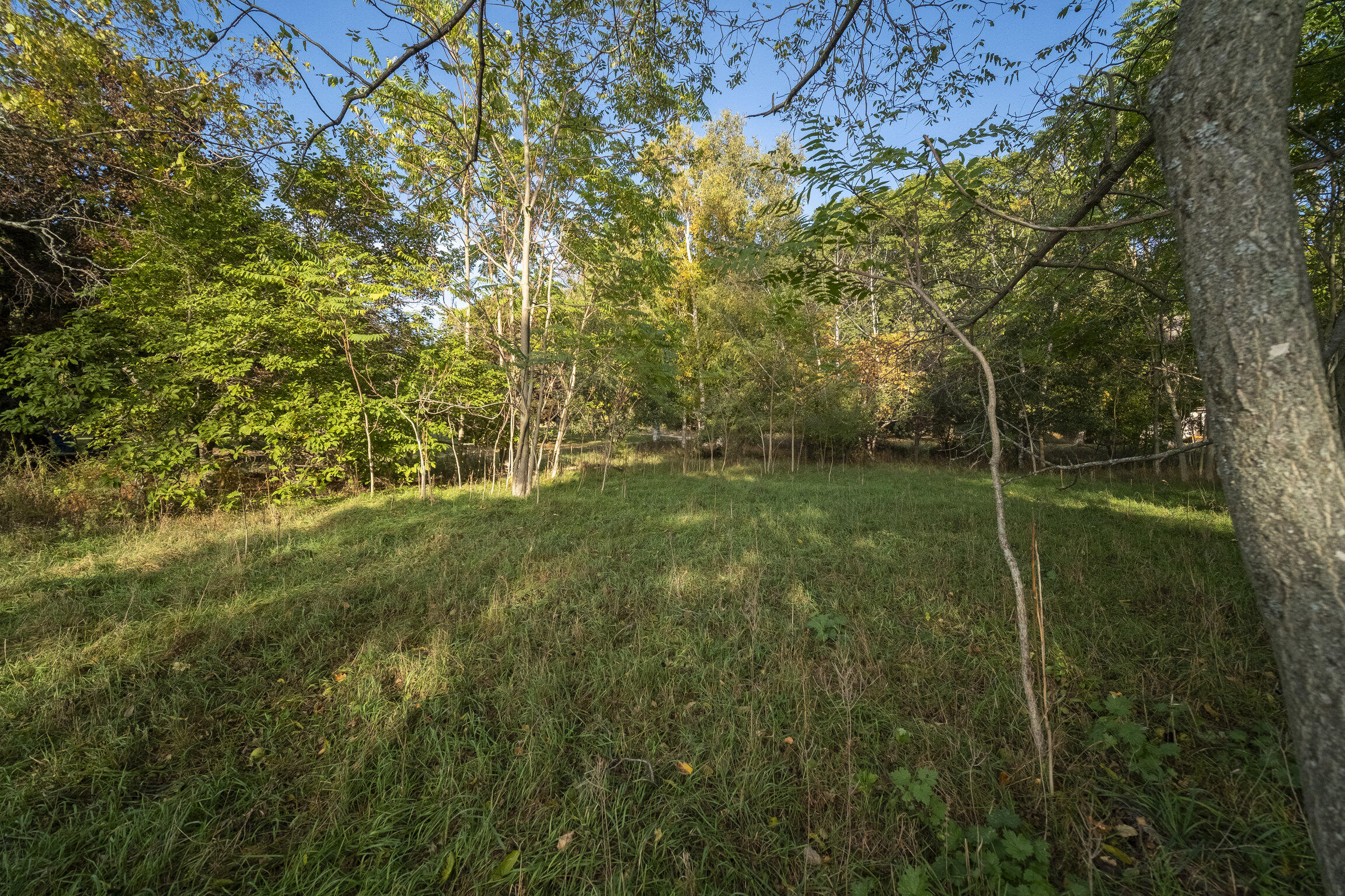 Lakeview Road Bear Lake, MI 49614 - Photo 18 of 33 Lakeview_Rd-10