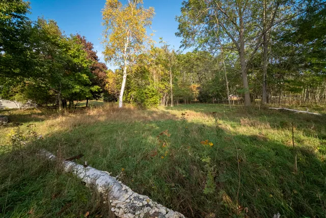 $650,000 | Lakeview Road, Bear Lake, MI 49614