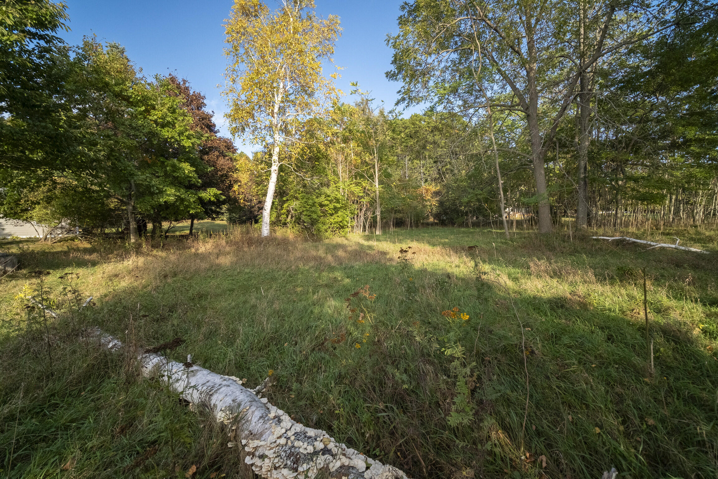 Lakeview Road Bear Lake, MI 49614 - Photo 19 of 33 Lakeview_Rd-11