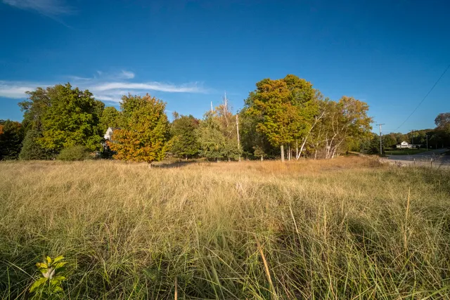 $650,000 | Lakeview Road, Bear Lake, MI 49614