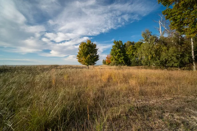 $650,000 | Lakeview Road, Bear Lake, MI 49614