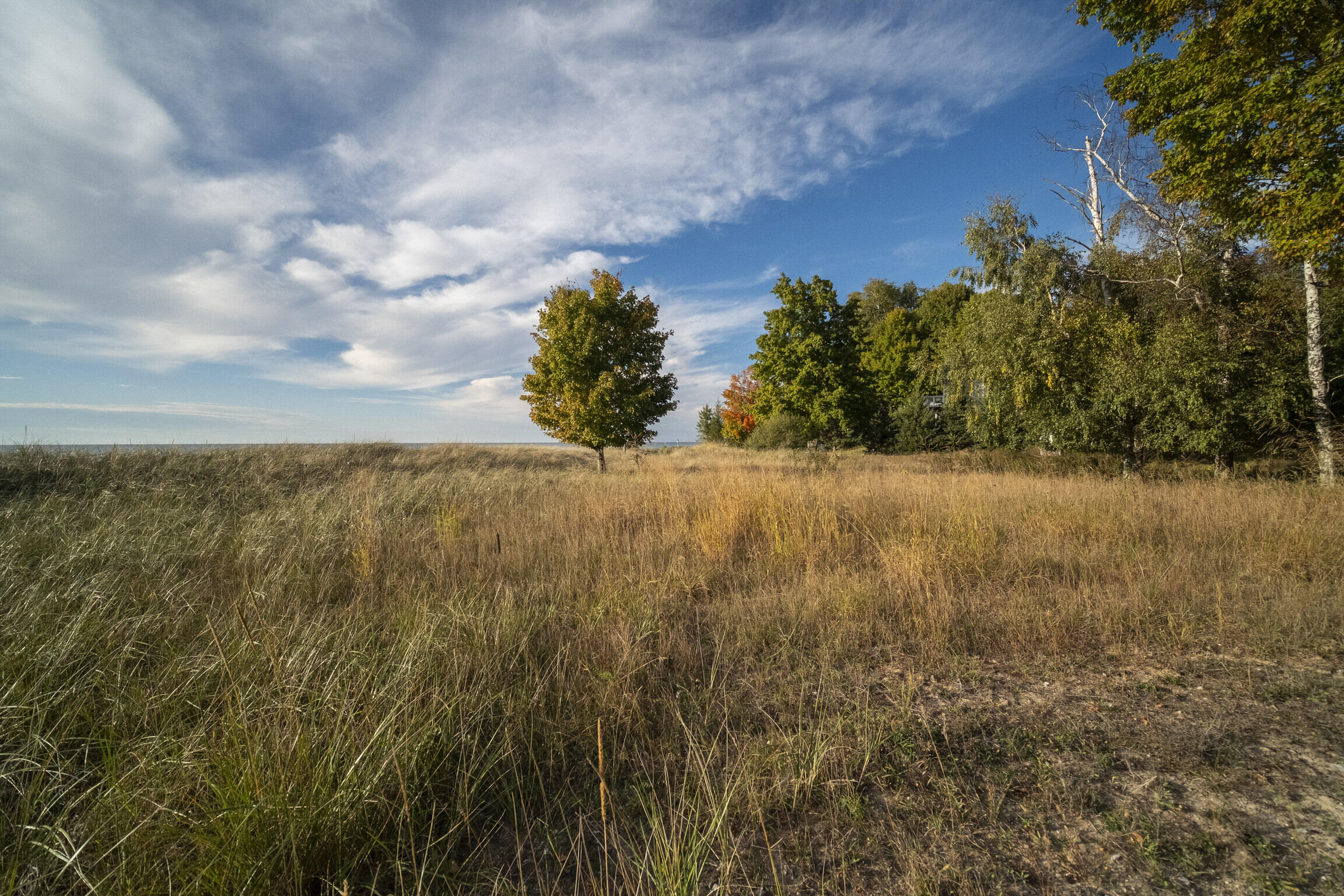 Lakeview Road Bear Lake, MI 49614 - Photo 23 of 33 Lakeview_Rd-29